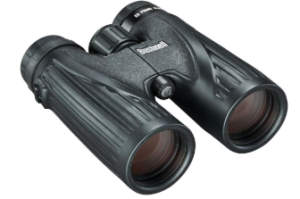 Bushnell Legend Ultra HD 10×42