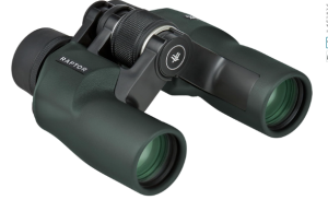 Best Budget Binoculars for Birding