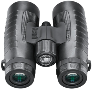 Best Inexpensive Binoculars for Hunting