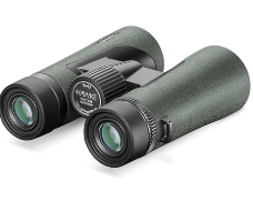 Best Affordable Binoculars for Birding