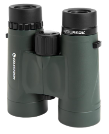Best Budget Binoculars for Birding