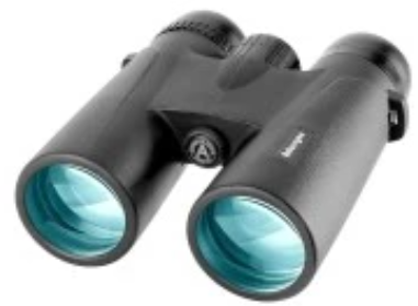 Best Inexpensive Binoculars for Hunting