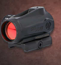 5 Best Red Dot for Ruger 10/22