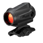 Best Red Dot for 10/22