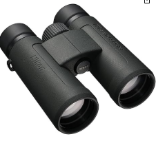 5 Best Affordable Binoculars for Birding